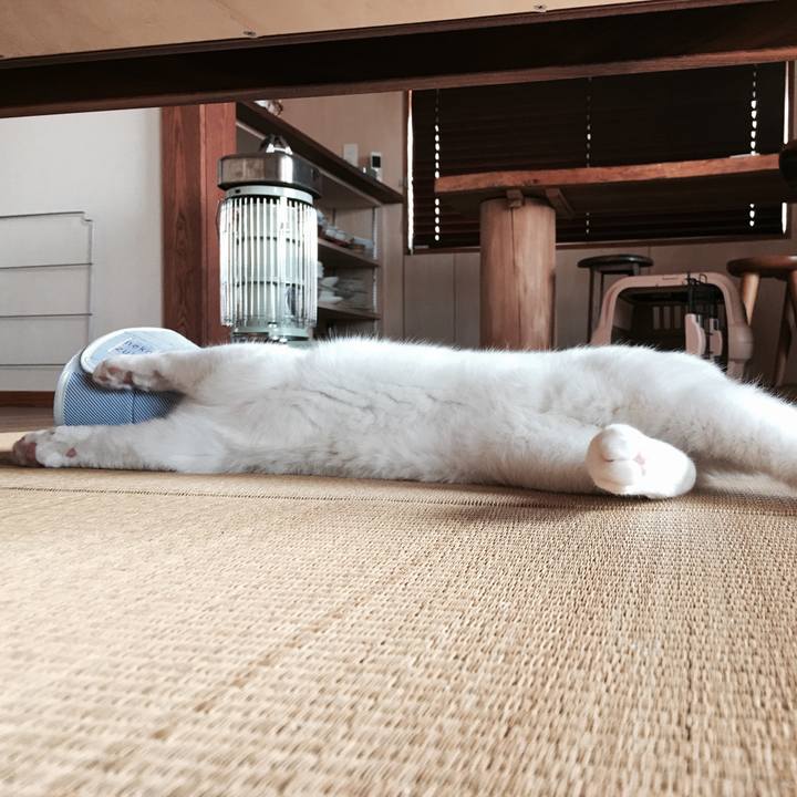 5d6aa27b 883e 4219 878f a9627364aa5a