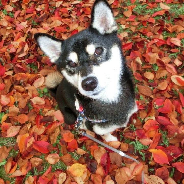 5d6ad606 222c 4beb 9153 1e164dbfffaa