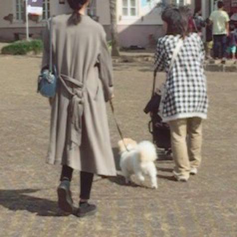 5d6b90ce fcd9 4133 bf3a f41d47f76bd8