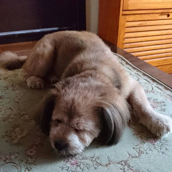 5d6b97d4 ad19 4fa7 a3a2 23fa8408cd78