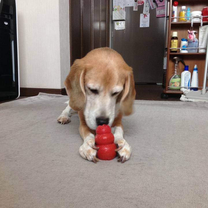 5d6cef74 42f4 465d 9a19 de44c41ecf05