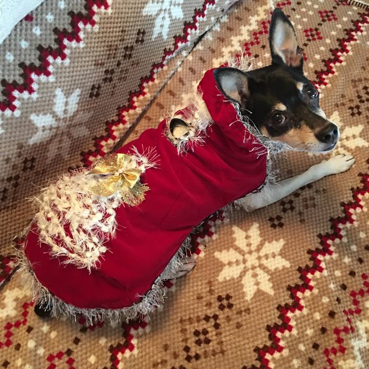 5d6d1d43 e421 41c1 9217 1f2312770d63