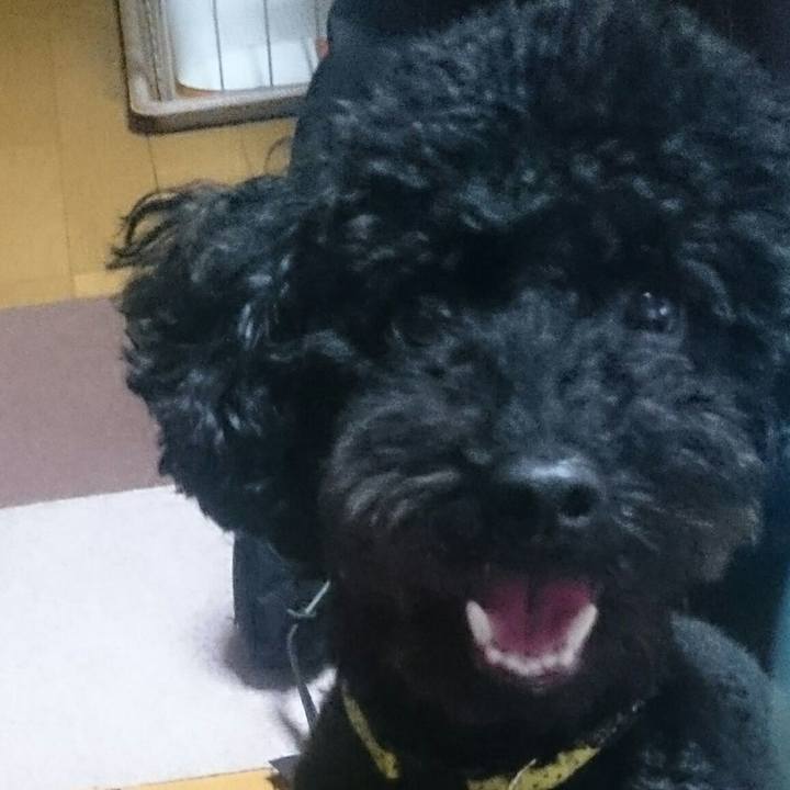 5d6d1f13 5648 44cf b287 765dbf796667