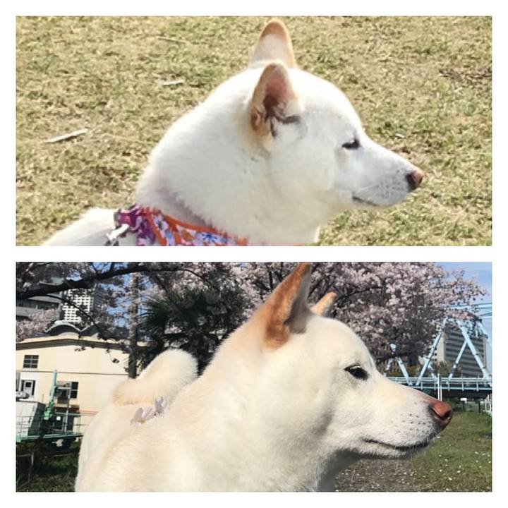 5d6d3e0a 7350 42ad a27a de89fd8903f4