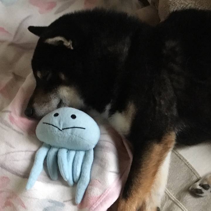 5d6d798e 65f1 4993 9f6d 23960cd67683