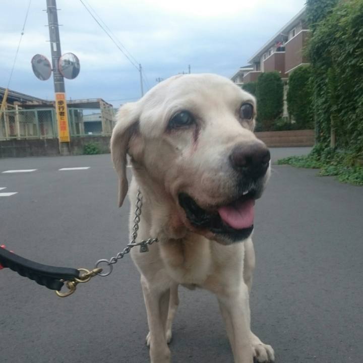 5d6dc14d e300 4107 b04a 6f7a4190fccf