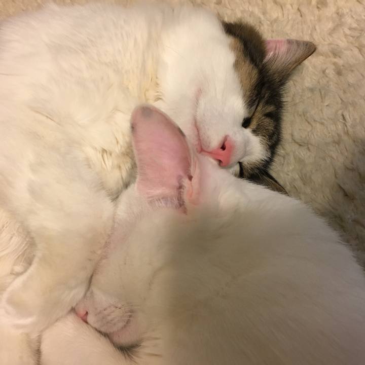 5d6df86f 0a72 4866 8cb0 3127b6e4811a