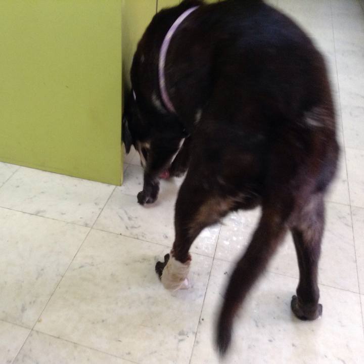 5d6e3224 8f7a 4dcc 8135 44d40063164e