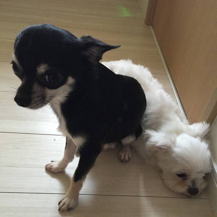 5d6eb672 f9b6 4805 86cf ca0cc522e937