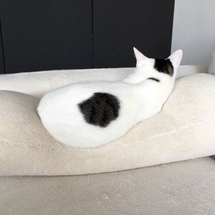 5d6ebbfa 70b4 4ad5 af6a 32186600e524