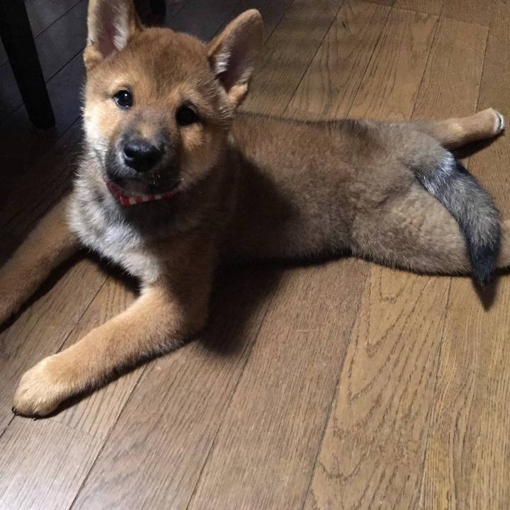 5d6eed0d 9fae 4dd6 ac67 d352b646ebe0