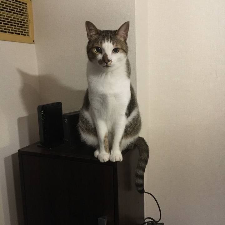 5d6f966d 11c4 443b b2f9 3736c111108b