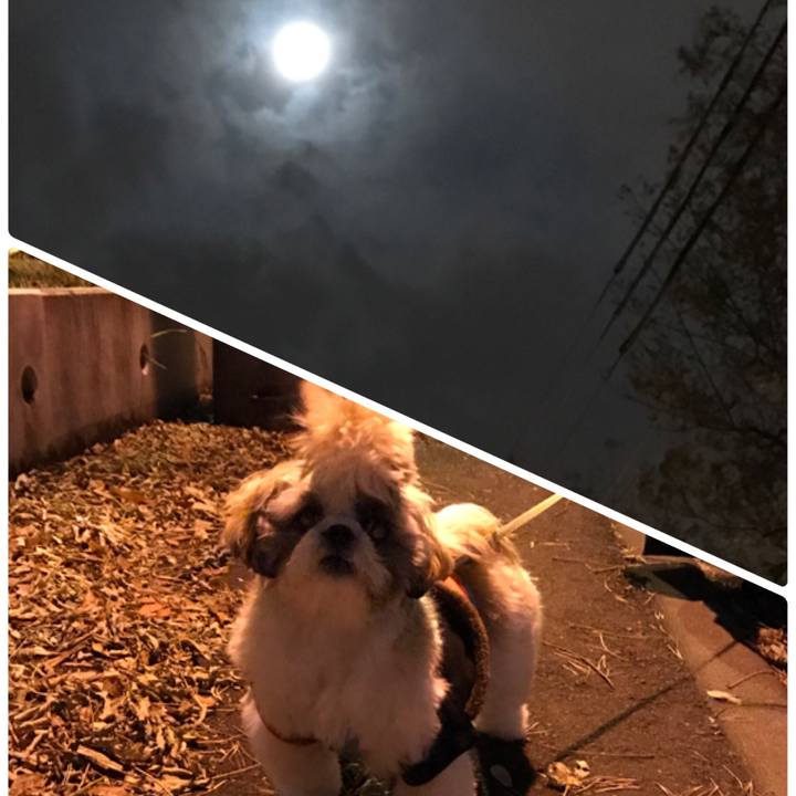 5d6fddbf fdb3 4606 8e71 58f4b555b1ea