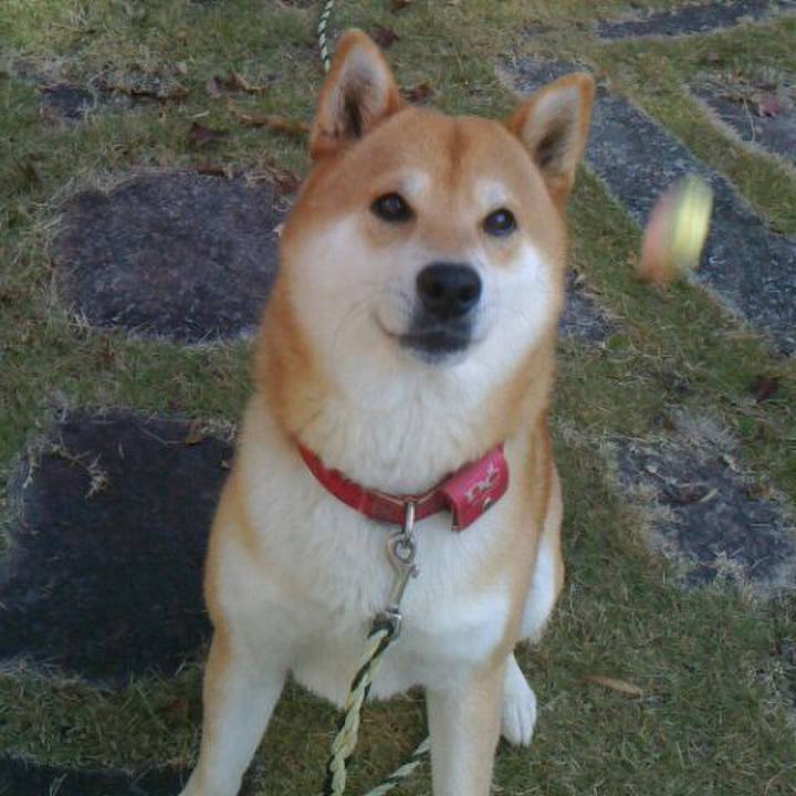 5d6fffbd 0634 4903 a331 f2d8a21c27c1