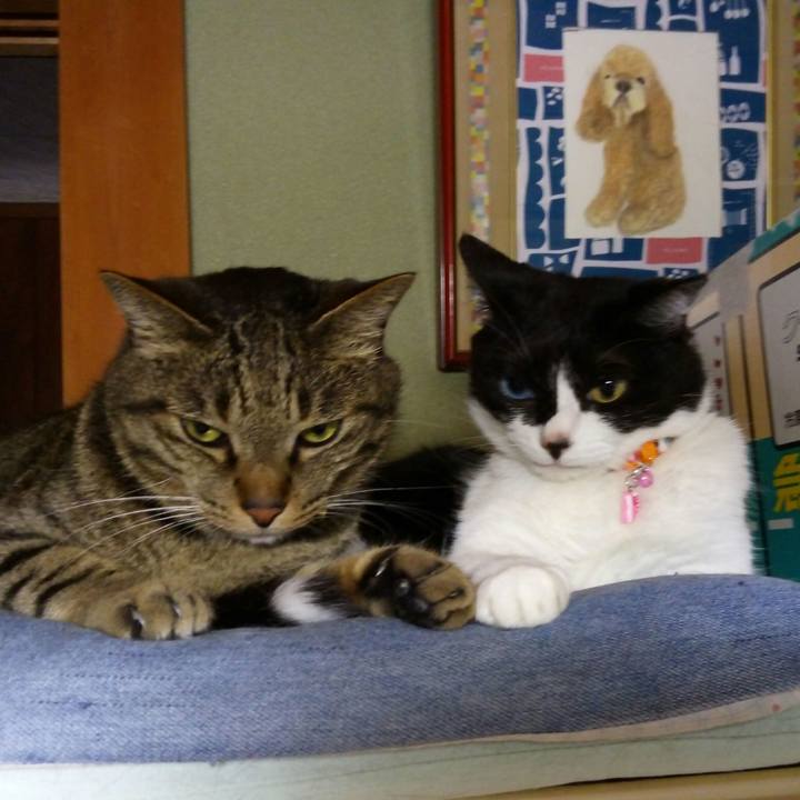 5d7026f3 889b 49da 814a 1dbe409007fa