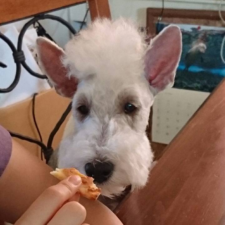 5d7038ed 9e03 4c43 87d9 72e1581cf9da