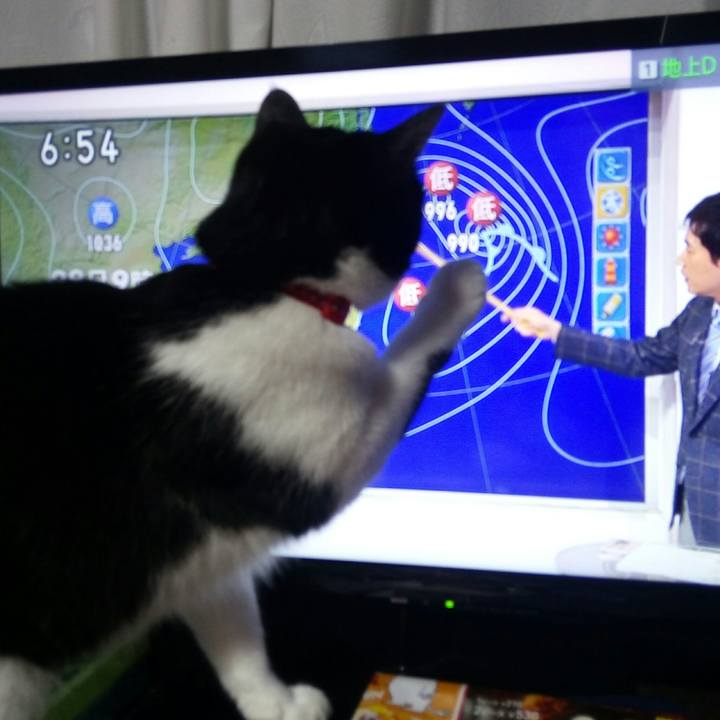 5d708a52 7b4a 485d b3b5 39e67943a251