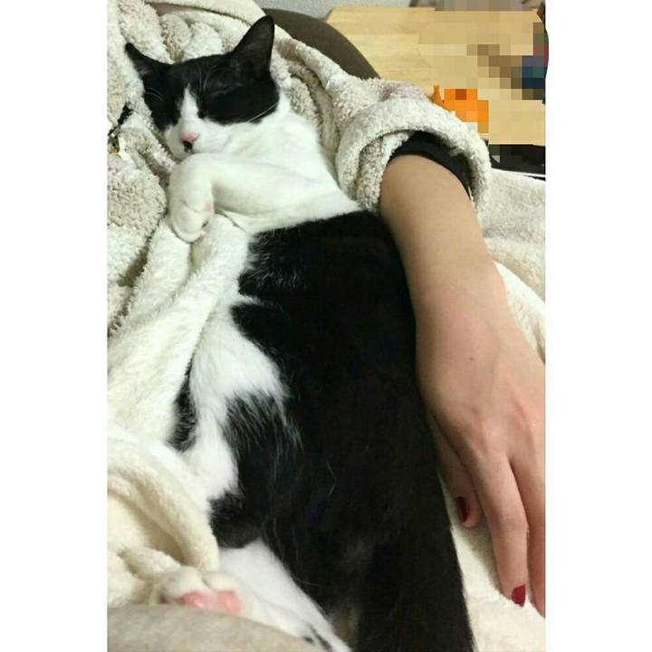 5d708b7d f385 415d 88dc d4a3bca10f81