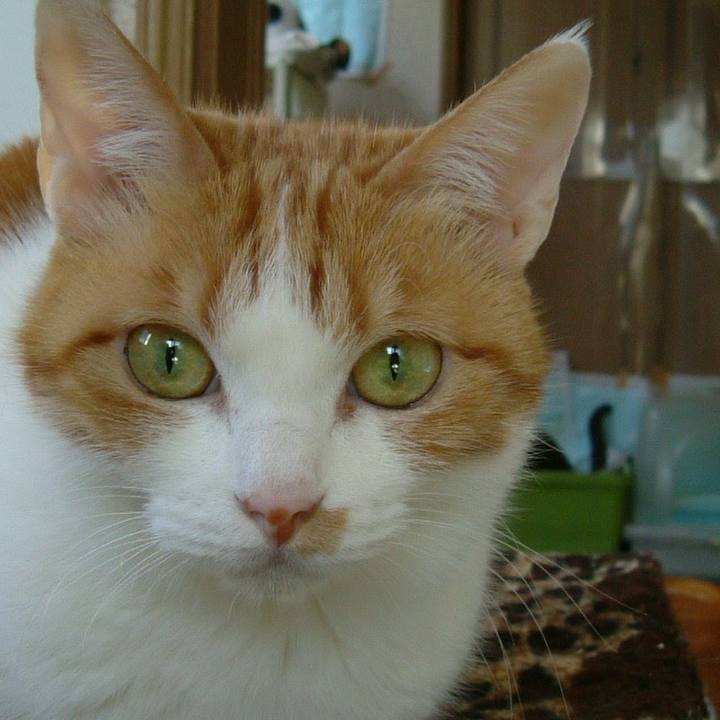 5d727541 5803 48a6 b690 3acdf2f3e438