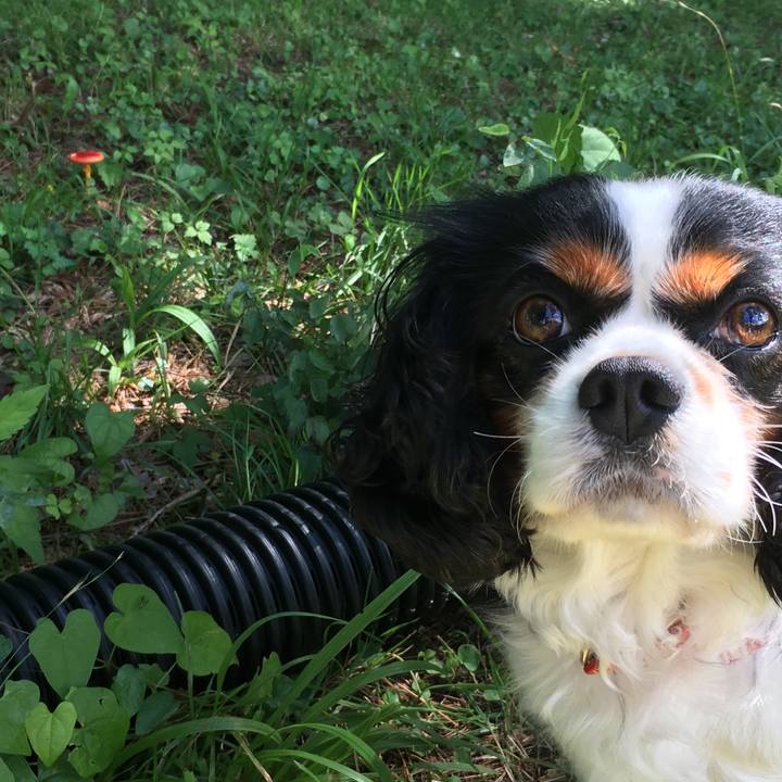 5d73133f 51f6 4310 9789 8a1318fe4835