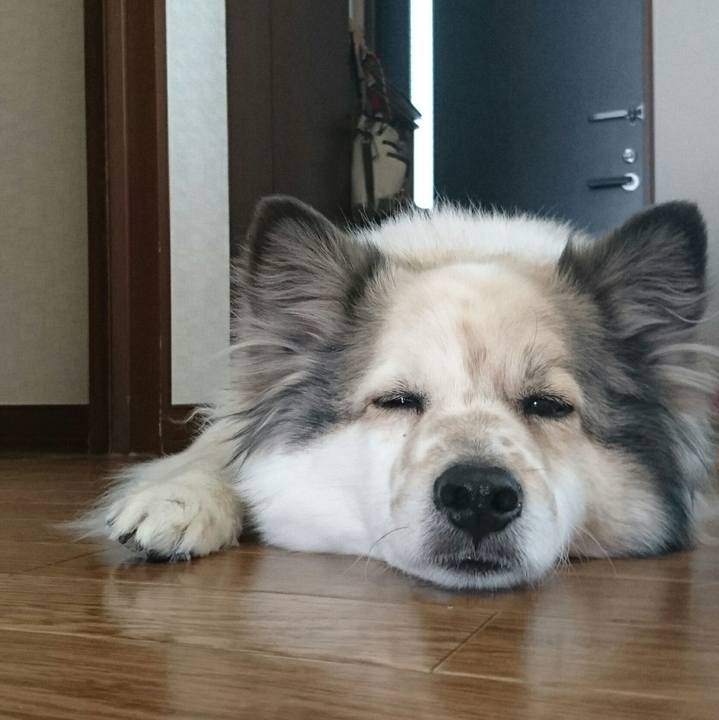 5d736331 18e4 4a83 8976 78135326ddd7