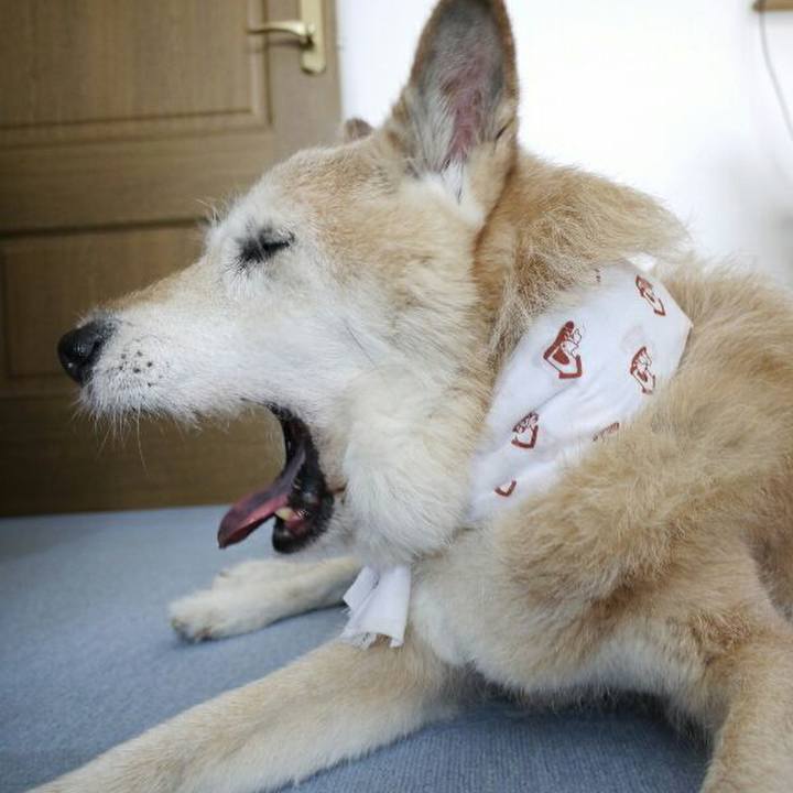 5d7367c5 6c03 499e b022 6f967fc3d2eb