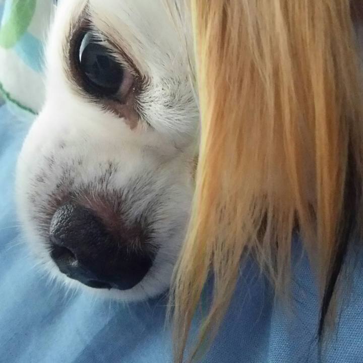 5d73cca3 41a7 44a9 90c1 278e03831f34