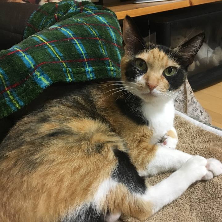 5d73ddc1 0577 473e a139 ccea449a6bfa