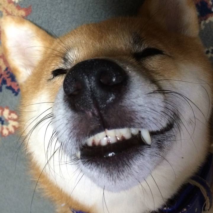 5d74366a ceb7 405f 8f8d d1462361b9e4