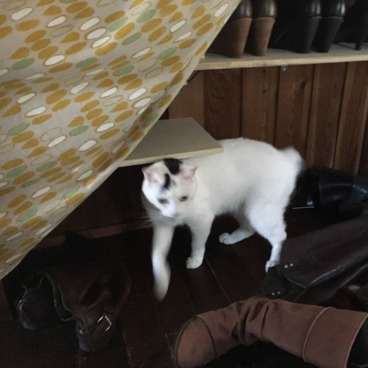 5d74b2c0 4163 49b9 8644 01bea13f8753