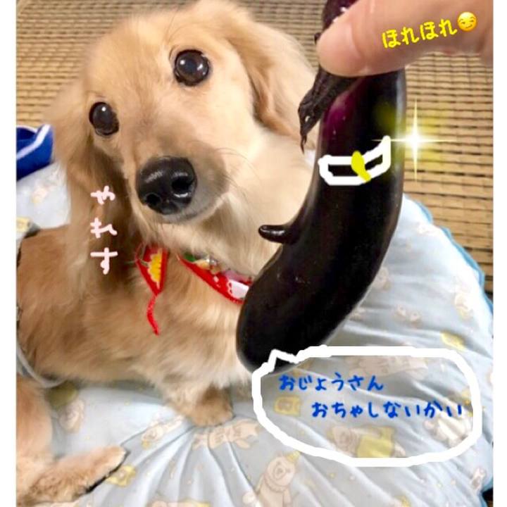 5d74cd80 63c5 4d14 a000 4273722c3bdc