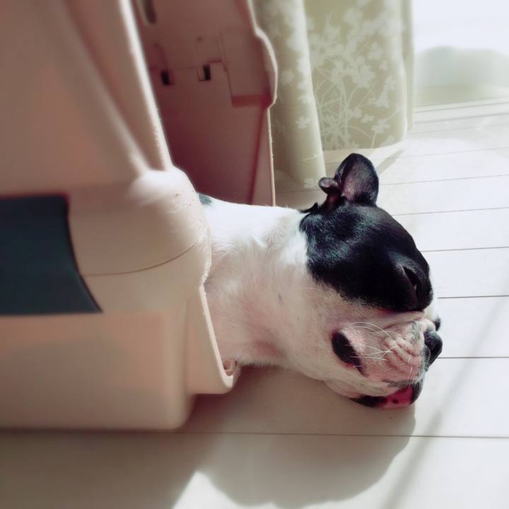 5d752faa 78e4 46d1 9231 0ae0ab011774