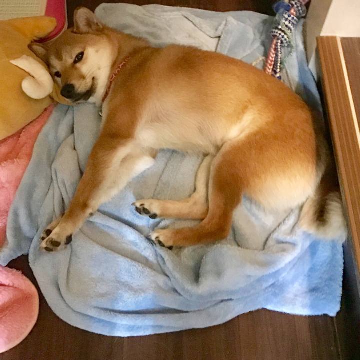 5d757400 7cf6 41db 8cb5 b1d18afc5821