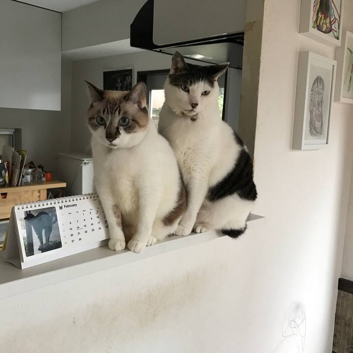 5d763d7b 7625 4b50 b79d 994d0539e4c6