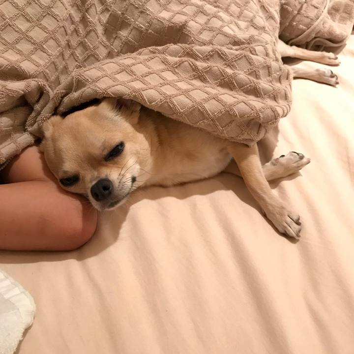 5d76b7d7 c49a 4938 983e c0fd78c9943a