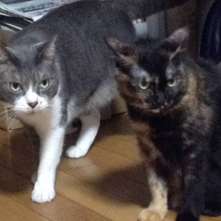 5d76fe09 bea9 4e4b ad6f 7ae7a5655b23