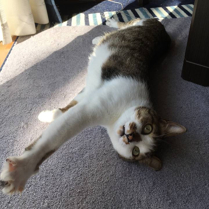 5d7886e3 8bfd 48e4 b9be 71f829569694