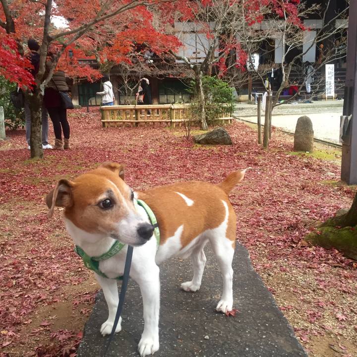 5d788b14 3228 42f7 8567 cfbb5c61c37e