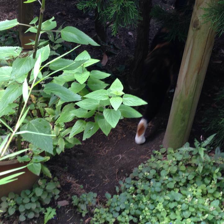 5d78bd7f 3de1 49b9 9365 0096fbfd5137