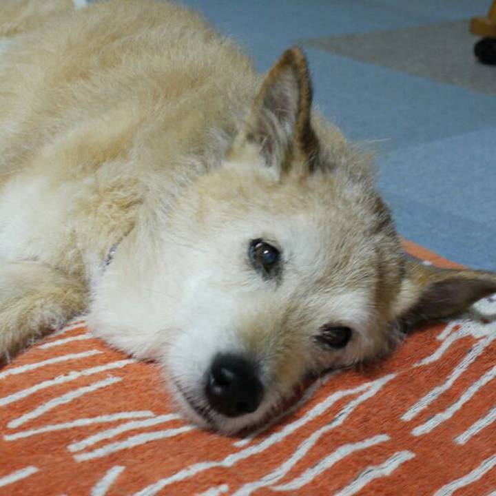 5d78be53 fa6e 49e7 827d 29033e3017b6