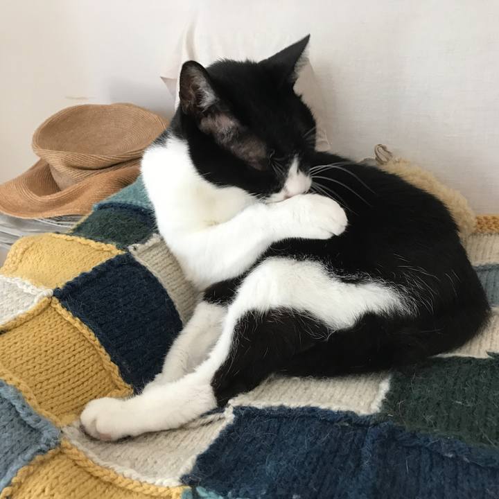 5d7b4bc8 f70a 4335 babd ea9d06f283bb