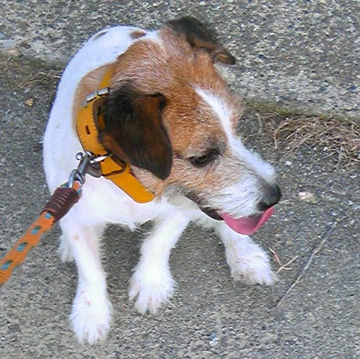 5d7bc938 ea58 46c4 b687 f56c6854976d