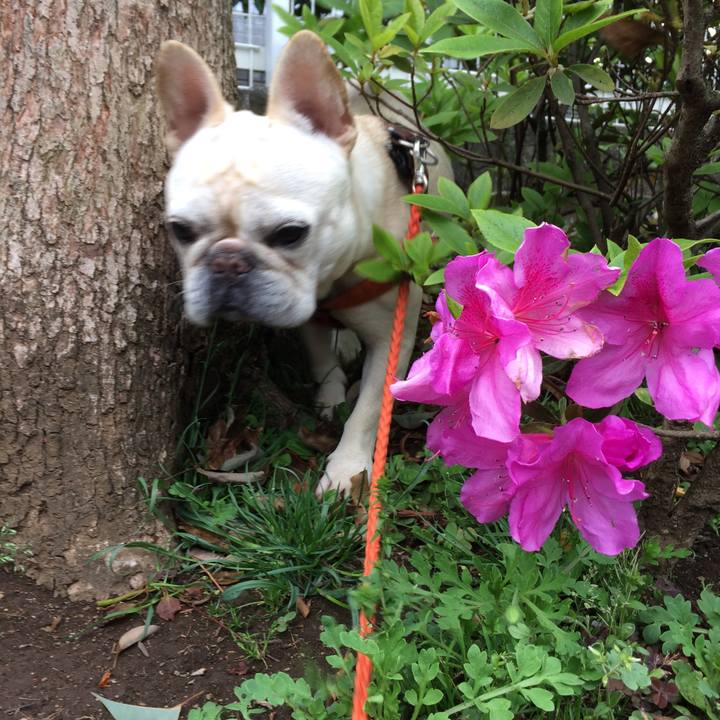 5d7be93e e93e 4a59 b852 e9492271f739