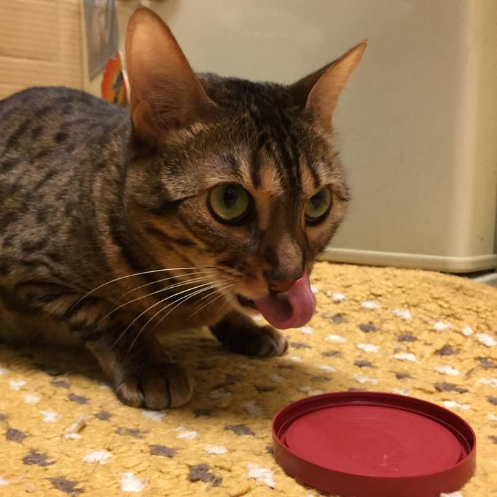 5d7bff1d ba68 4ecc 97f2 0a6506bacd54