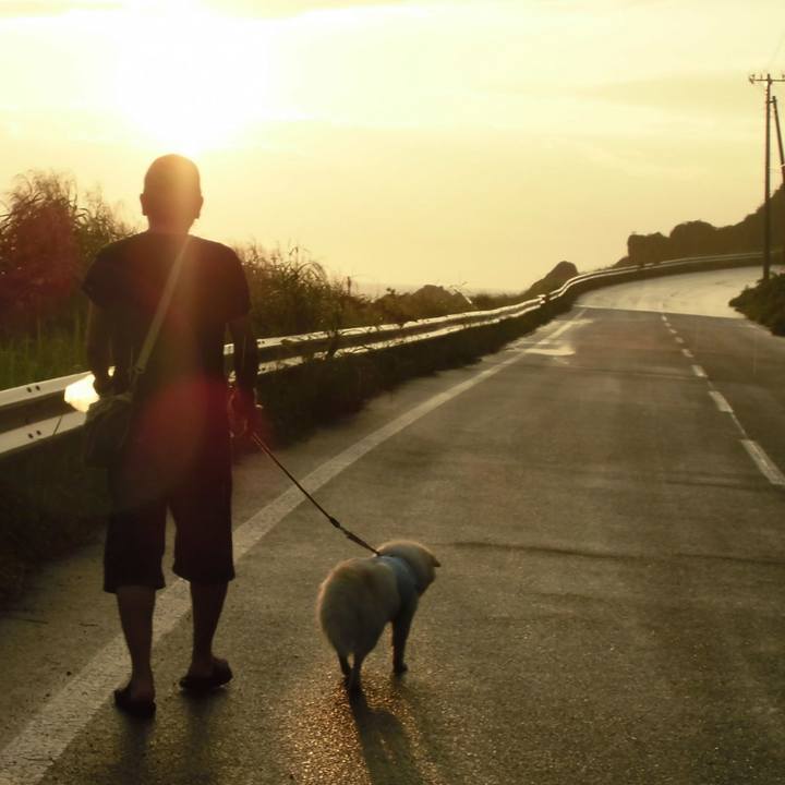 5d7c01db 9c71 4cbc 9b7f b5460cdceaeb