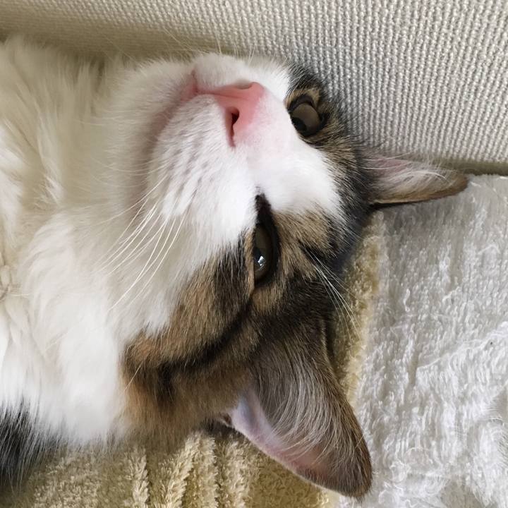 5d7c9b5e 7353 4745 b50a 827754b82fb6