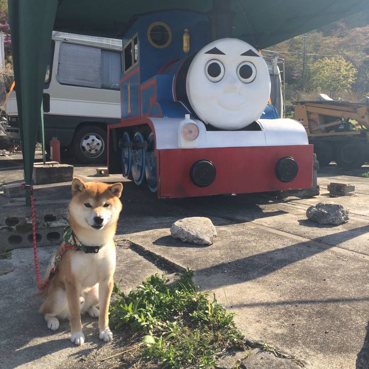 5d7cc52f e387 4364 b981 6bc05691877e