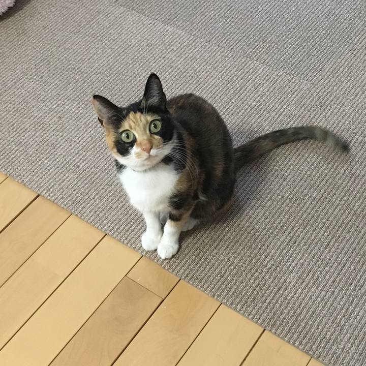 5d7ce8a9 29f6 4134 90fa 46f4e2dcff15