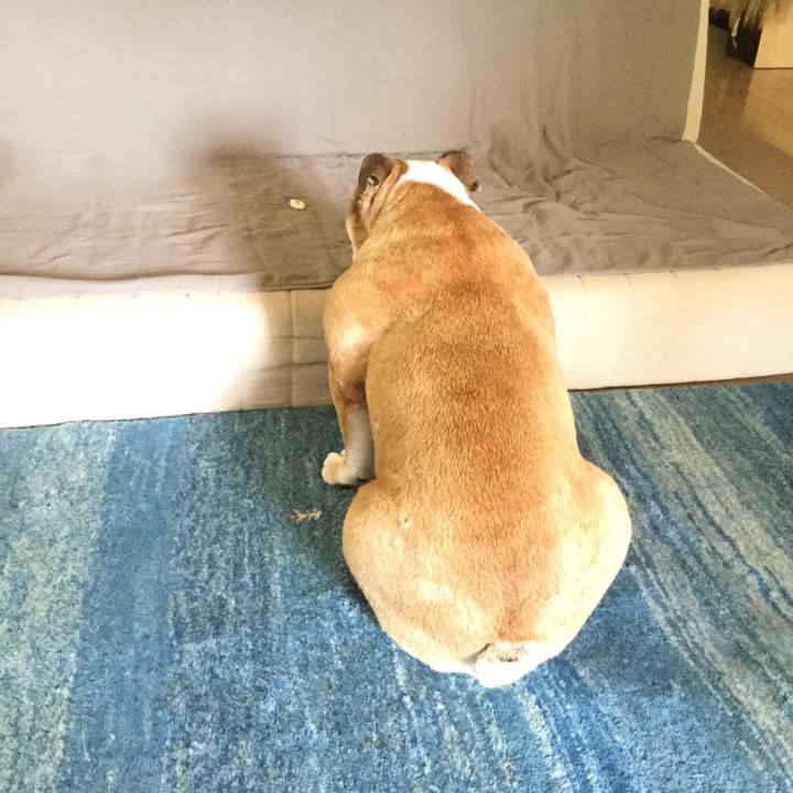 5d7e87d6 6a17 43f4 861f 486b969f560d