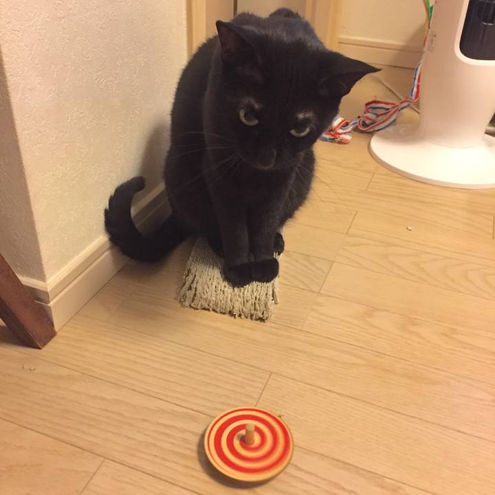 5d7e8b84 c321 492c acf4 34a56c52912f